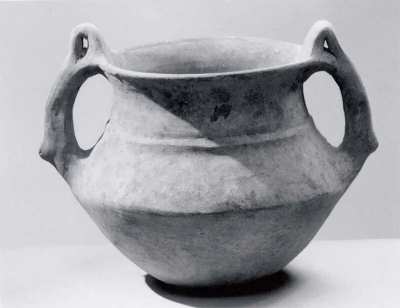 Bowl — تصویر رکورد موزهٔ متروپولیتن (دسترسی آزاد)