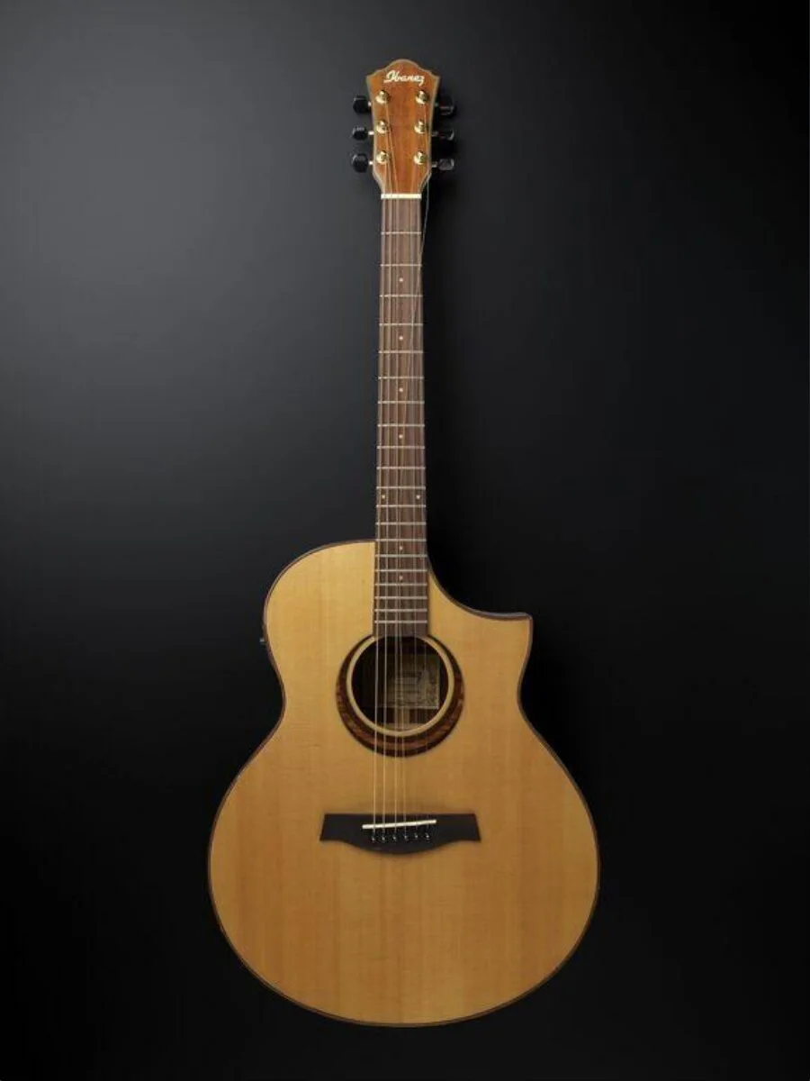 Guitar — تصویر رکورد موزهٔ ویکتوریا و آلبرت