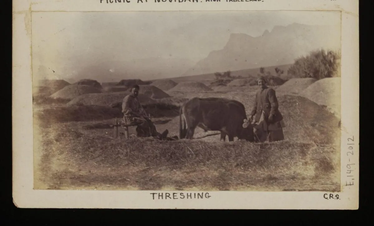 C. R. Smith Archive — تصویر رکورد موزهٔ ویکتوریا و آلبرت