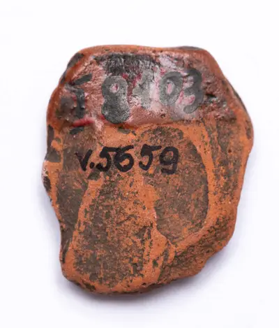 Jeton confecționat dintr-un fragment ceramic — تصویر رکورد یوروپیانا