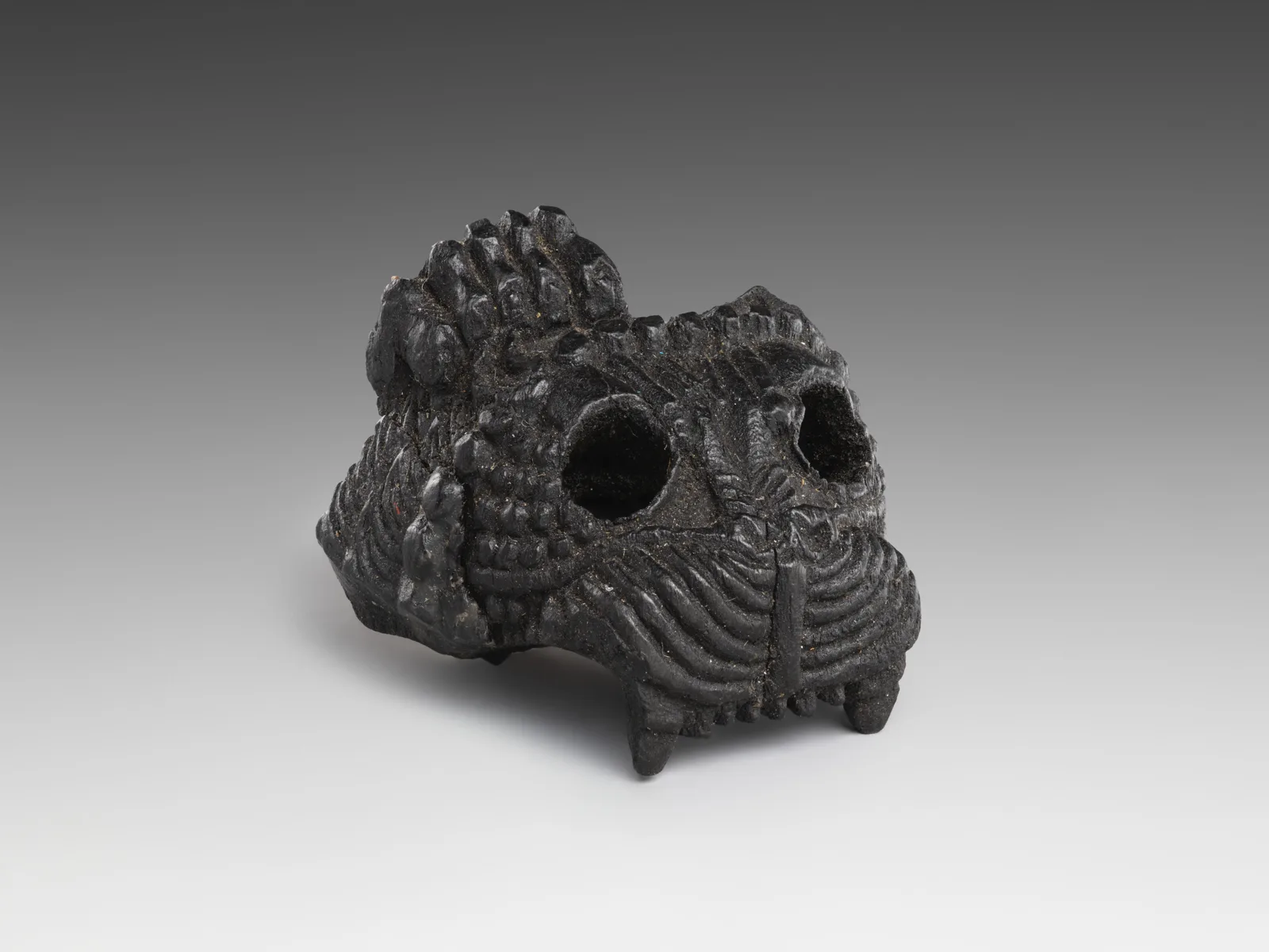 Upper part of a lion's head — تصویر رکورد موزهٔ متروپولیتن (دسترسی آزاد)