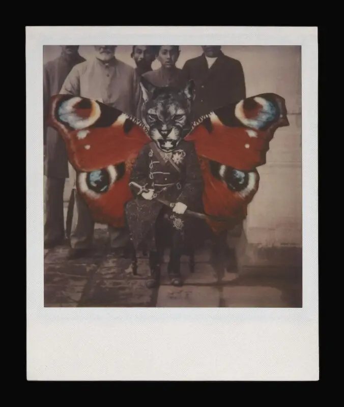 Photograph: Untitled from the Az Div o Dad series — تصویر رکورد موزهٔ ویکتوریا و آلبرت — شمارهٔ رکورد PH.459-2024