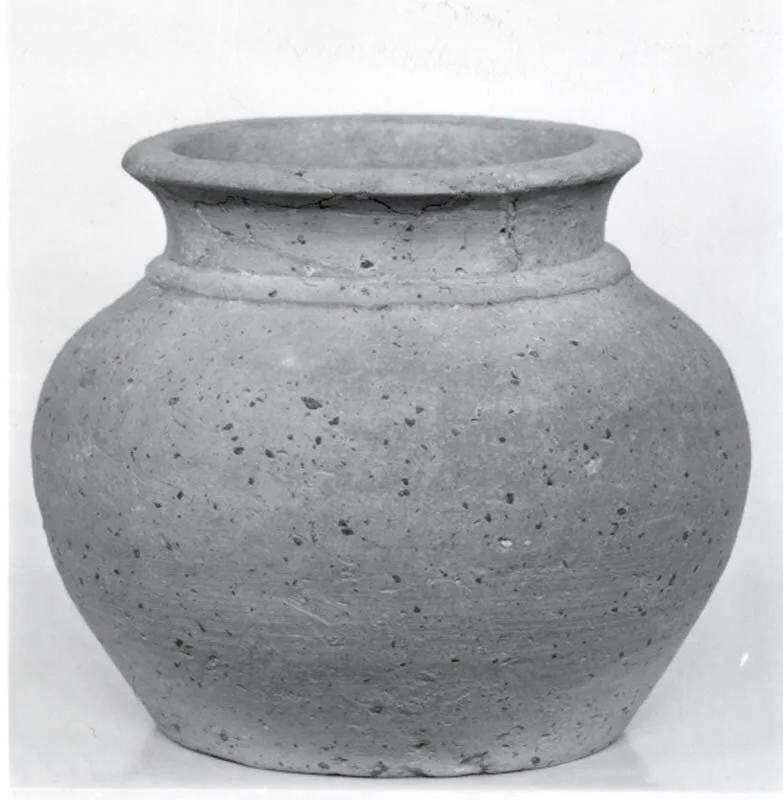 Jar — تصویر رکورد موزهٔ متروپولیتن (دسترسی آزاد)