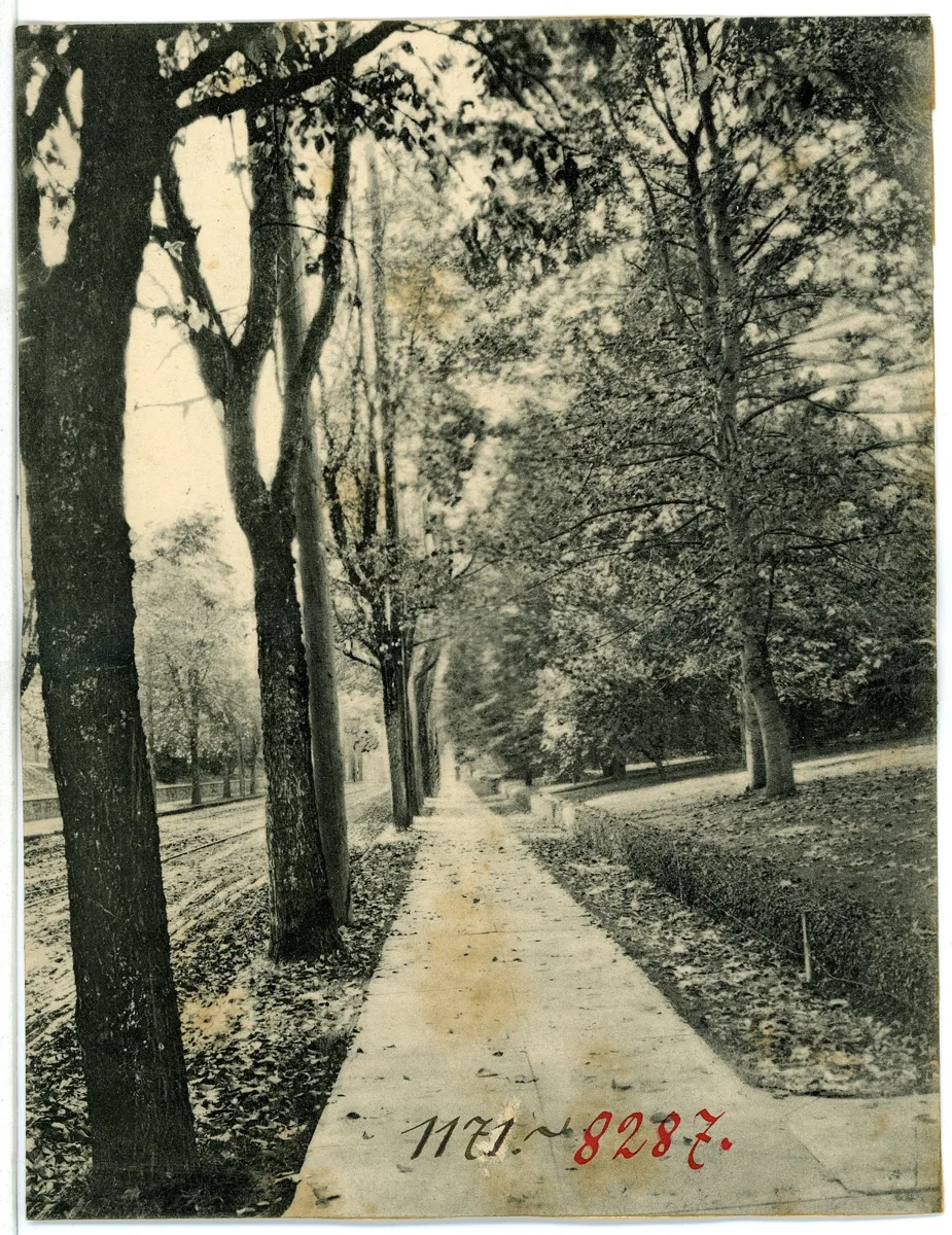 Postkarte — تصویر رکورد یوروپیانا