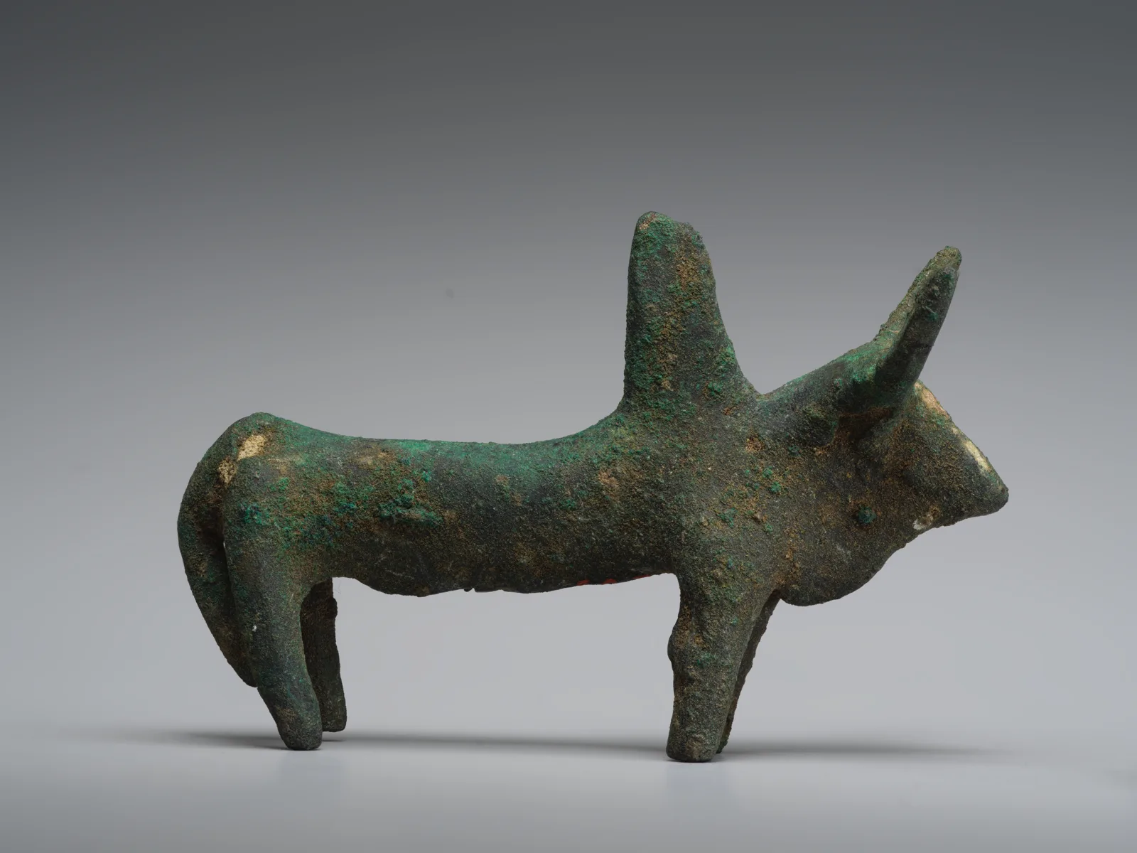 Zebu — تصویر رکورد موزهٔ متروپولیتن (دسترسی آزاد)