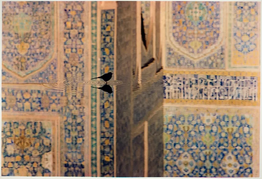 Bird in Iran — تصویر رکورد مؤسسهٔ هنر شیکاگو (دسترسی آزاد)