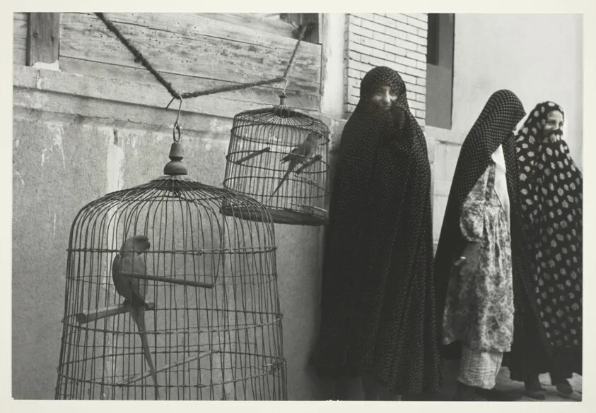 Iran: Shiraz - Three Women With Caged Birds — تصویر رکورد مؤسسهٔ هنر شیکاگو (دسترسی آزاد)