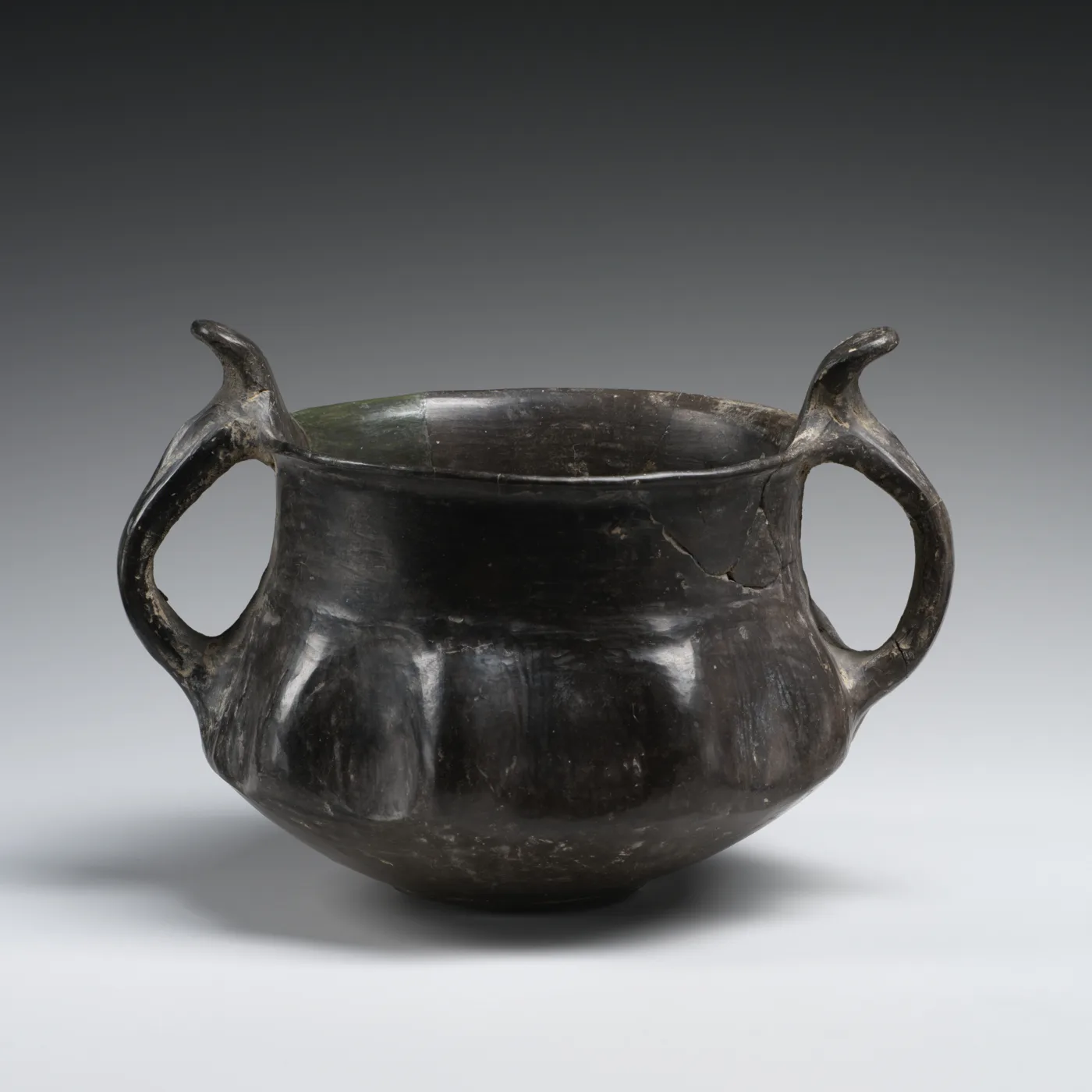 Fluted bowl with two handles — تصویر رکورد موزهٔ متروپولیتن (دسترسی آزاد)