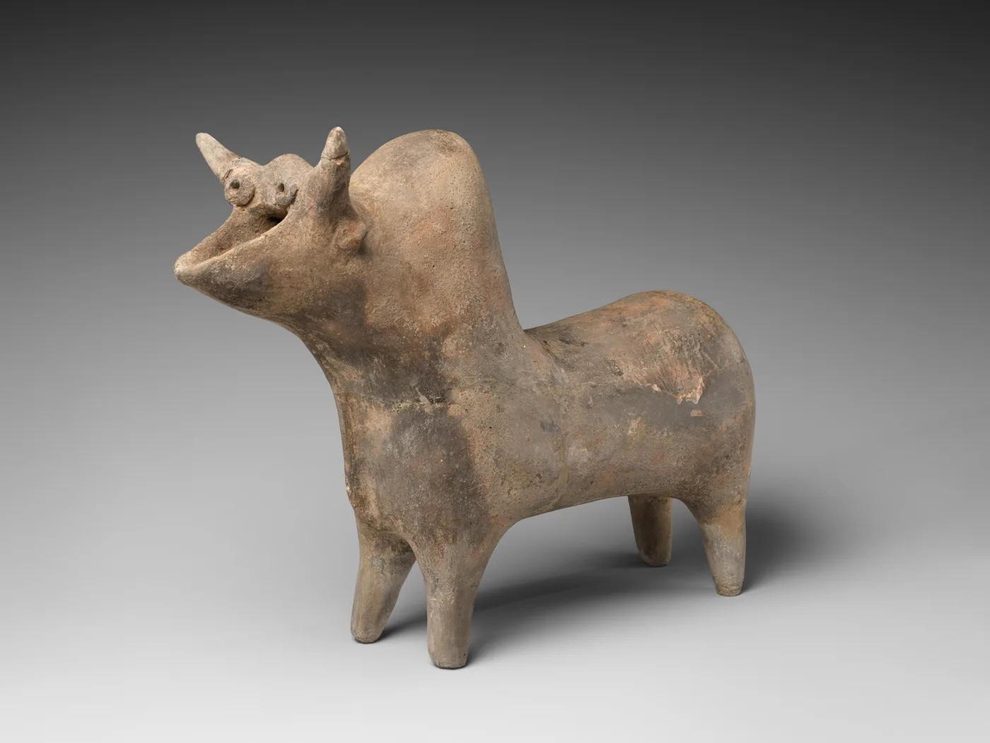 Spouted vessel in the shape of a zebu — تصویر رکورد موزهٔ متروپولیتن (دسترسی آزاد)