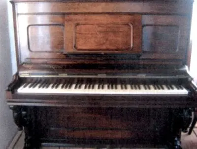 pianină — تصویر رکورد یوروپیانا