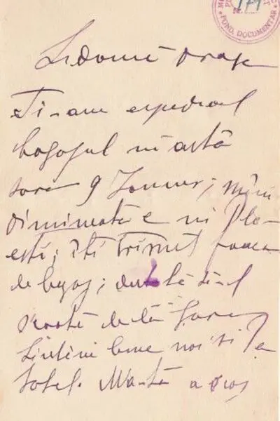 Sidonia C. Hogaș — تصویر رکورد یوروپیانا