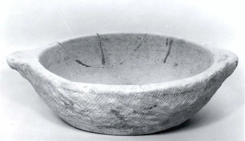 Bowl — تصویر رکورد موزهٔ متروپولیتن (دسترسی آزاد)