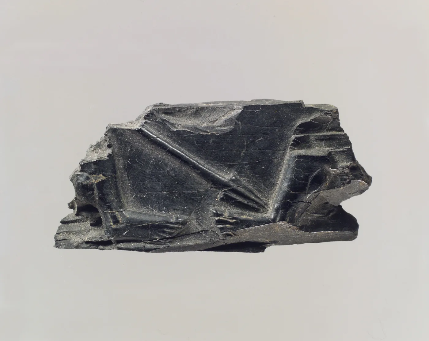 Furniture plaque carved in relief with spear — تصویر رکورد موزهٔ متروپولیتن (دسترسی آزاد)