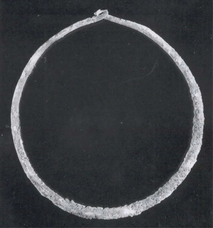 Necklace — تصویر رکورد موزهٔ متروپولیتن (دسترسی آزاد)
