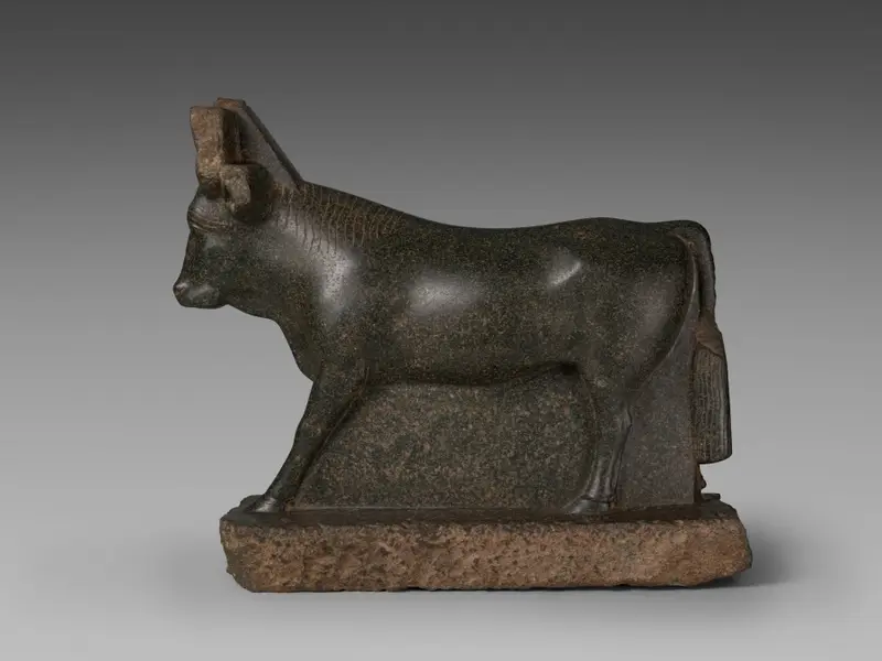 Apis Bull — تصویر رکورد موزهٔ هنر کلیولند (دسترسی آزاد)