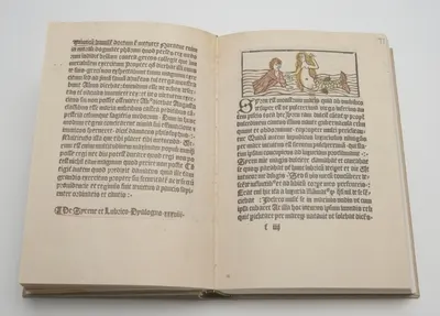Uppslag ur facsimil av Sveriges första inkunabel Dialogus Creaturarum Optime Moralizatus (Skapelsens sedelärande samtal) som trycktes av Johann Snell 1483 i Stockholm.
.
De äldsta böckerna i det moder — تصویر رکورد یوروپیانا