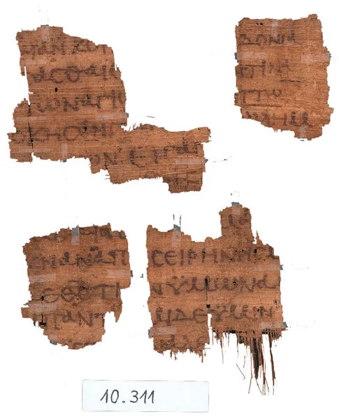 Papyrus 118 — تصویر رکورد ویکیداده