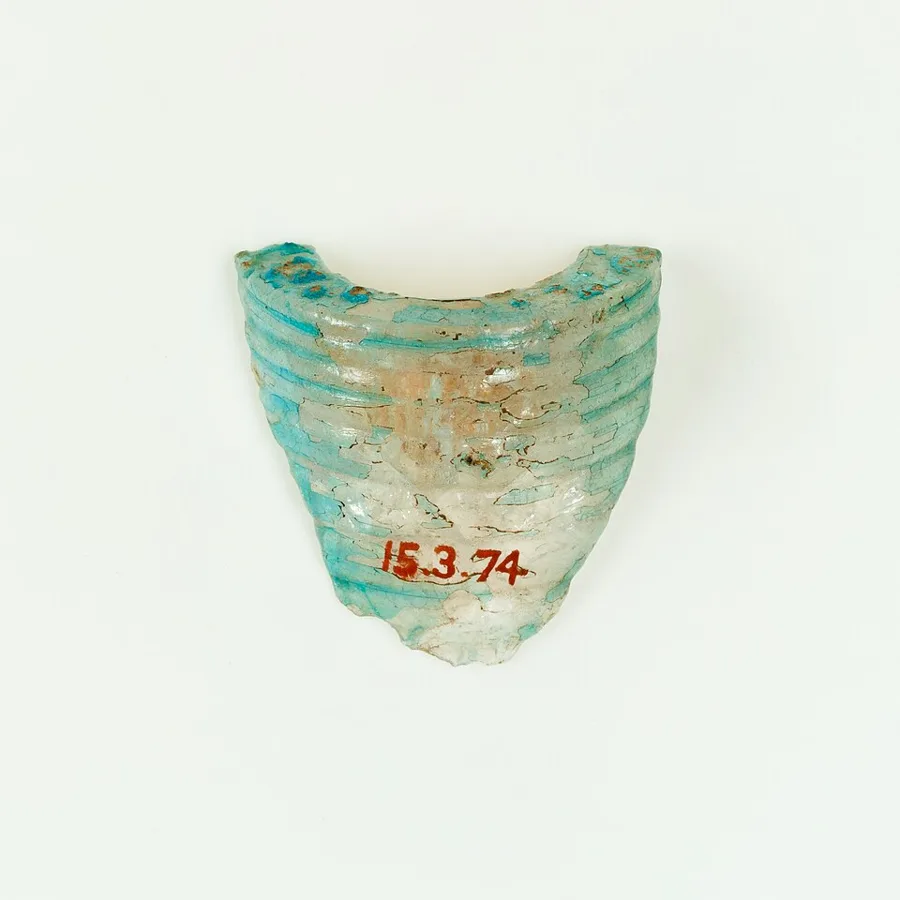 Fragment of vase — تصویر رکورد ویکیداده