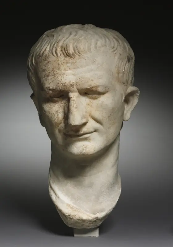 Portrait Head of Emperor Vespasian, Recut from Head of Nero — تصویر رکورد موزهٔ هنر کلیولند (دسترسی آزاد)
