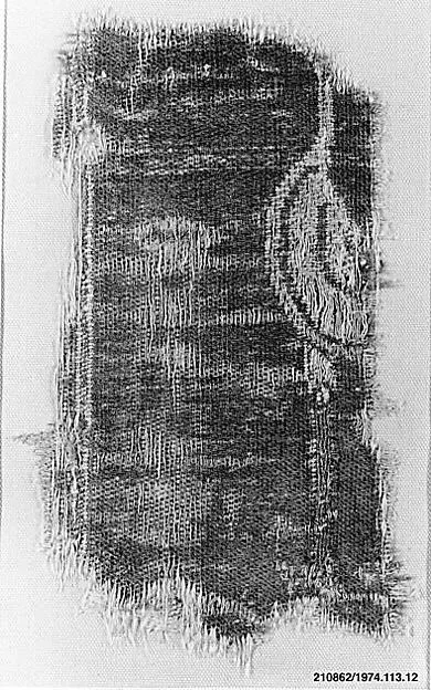 Textile Fragment — تصویر رکورد موزهٔ متروپولیتن (دسترسی آزاد)