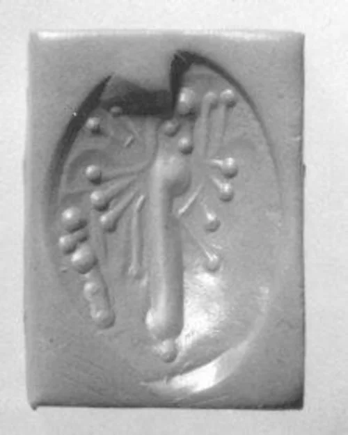 Stamp seal (scaraboid) with deity — تصویر رکورد موزهٔ متروپولیتن (دسترسی آزاد)