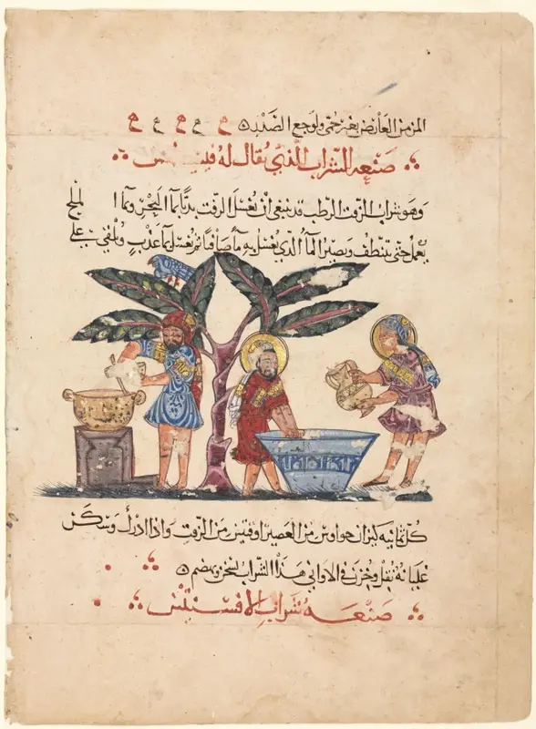 Folio from an Arabic translation of the Materia Medica of Dioscorides — تصویر رکورد موزهٔ هنر کلیولند (دسترسی آزاد)