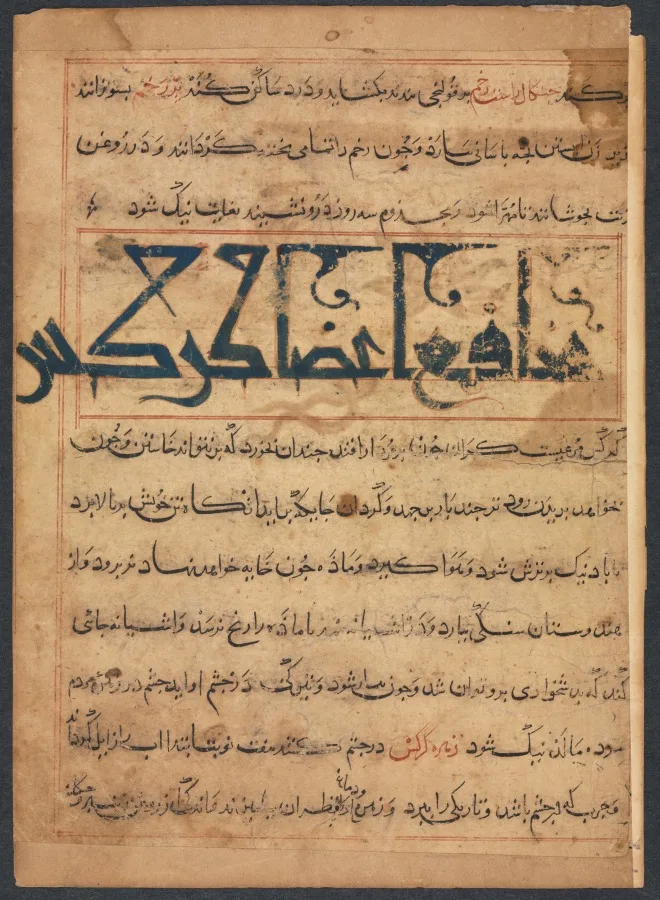 "Benefits of the Parts of Vultures" (From the Manafi' al-Haywan of Abu Sai'd Ubayd-Allay Ibn Bakhtishu) (recto) — تصویر رکورد موزهٔ هنر کلیولند (دسترسی آزاد)