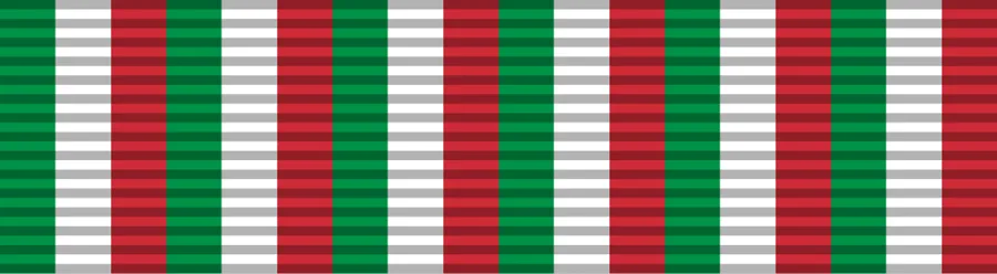 Badge for war efforts — تصویر رکورد ویکیداده