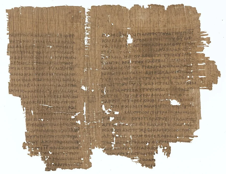 Papyrus 8 — تصویر رکورد ویکیداده