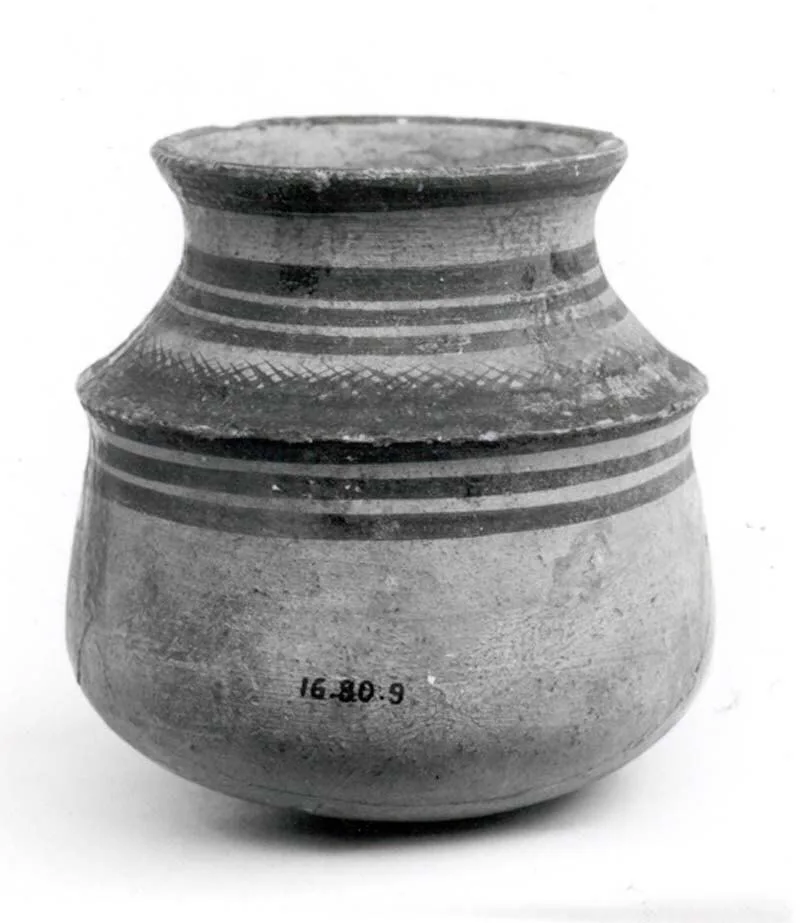 Jar with painted decoration — تصویر رکورد موزهٔ متروپولیتن (دسترسی آزاد)