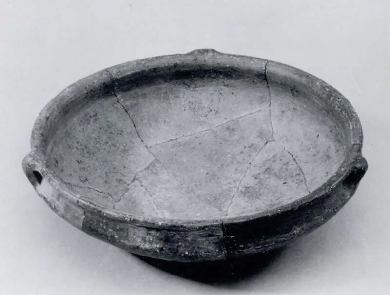 Bowl — تصویر رکورد موزهٔ متروپولیتن (دسترسی آزاد)
