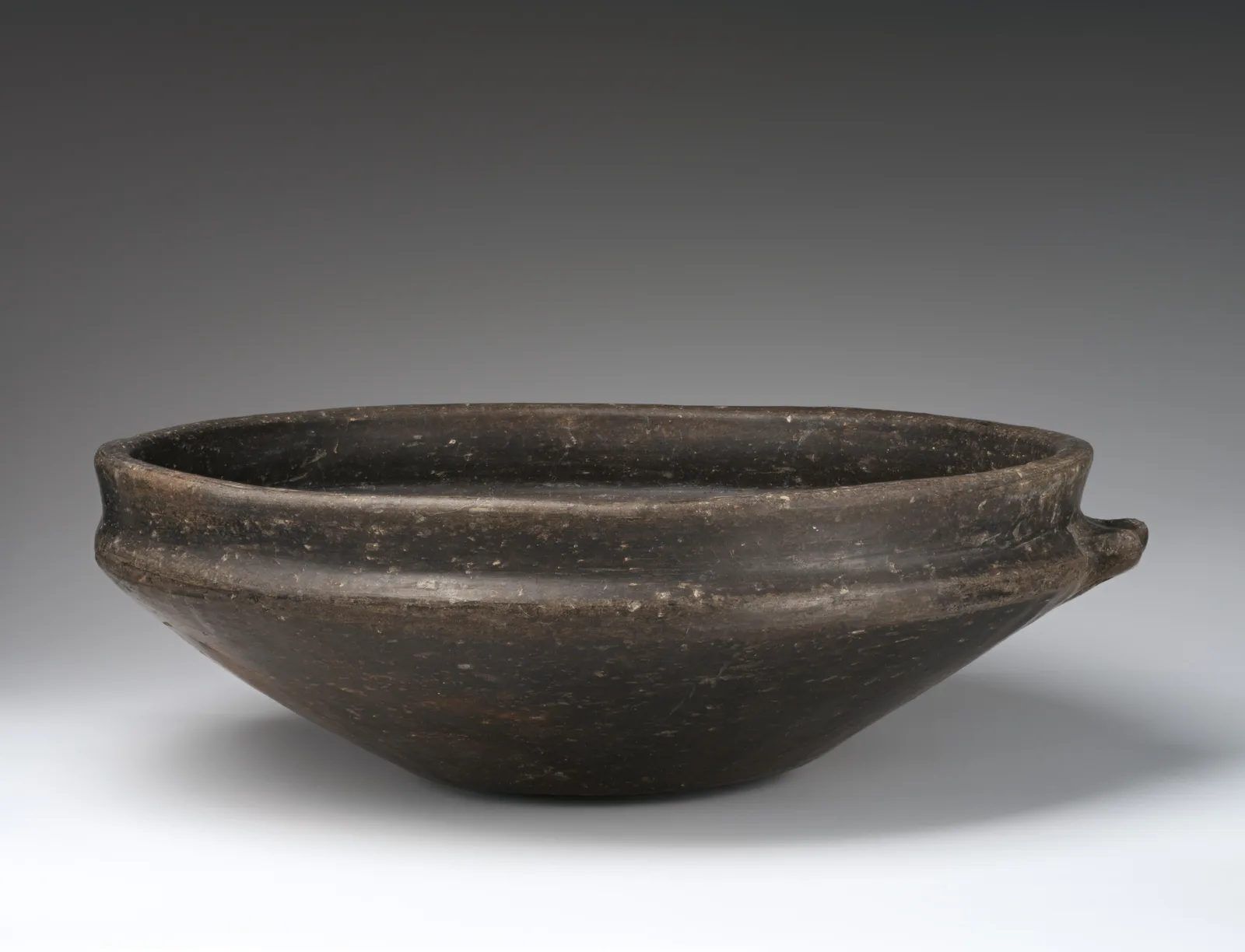 Bowl — تصویر رکورد موزهٔ متروپولیتن (دسترسی آزاد)