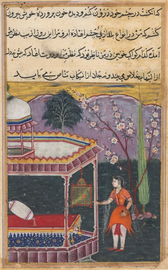The Parrot Addresses Khujasta at the Beginning of the Eighth Night, from a Tuti-nama (Tales of a Parrot) — تصویر رکورد موزهٔ هنر کلیولند (دسترسی آزاد)