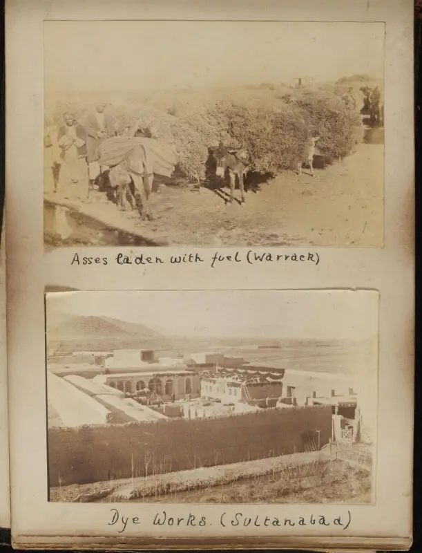 Photograph: C.R. Smith Archive — تصویر رکورد موزهٔ ویکتوریا و آلبرت — شمارهٔ رکورد E.339:61-2010