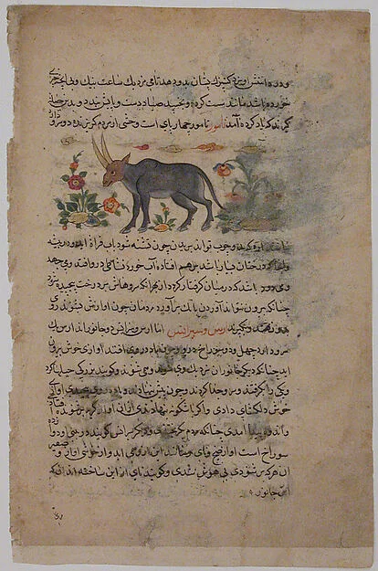 "Steinbok", Folio from a Dispersed Nuzhatnama-i ‘A’a’i of Shahmardan ibn Abi’l Khayr — تصویر رکورد موزهٔ متروپولیتن (دسترسی آزاد)