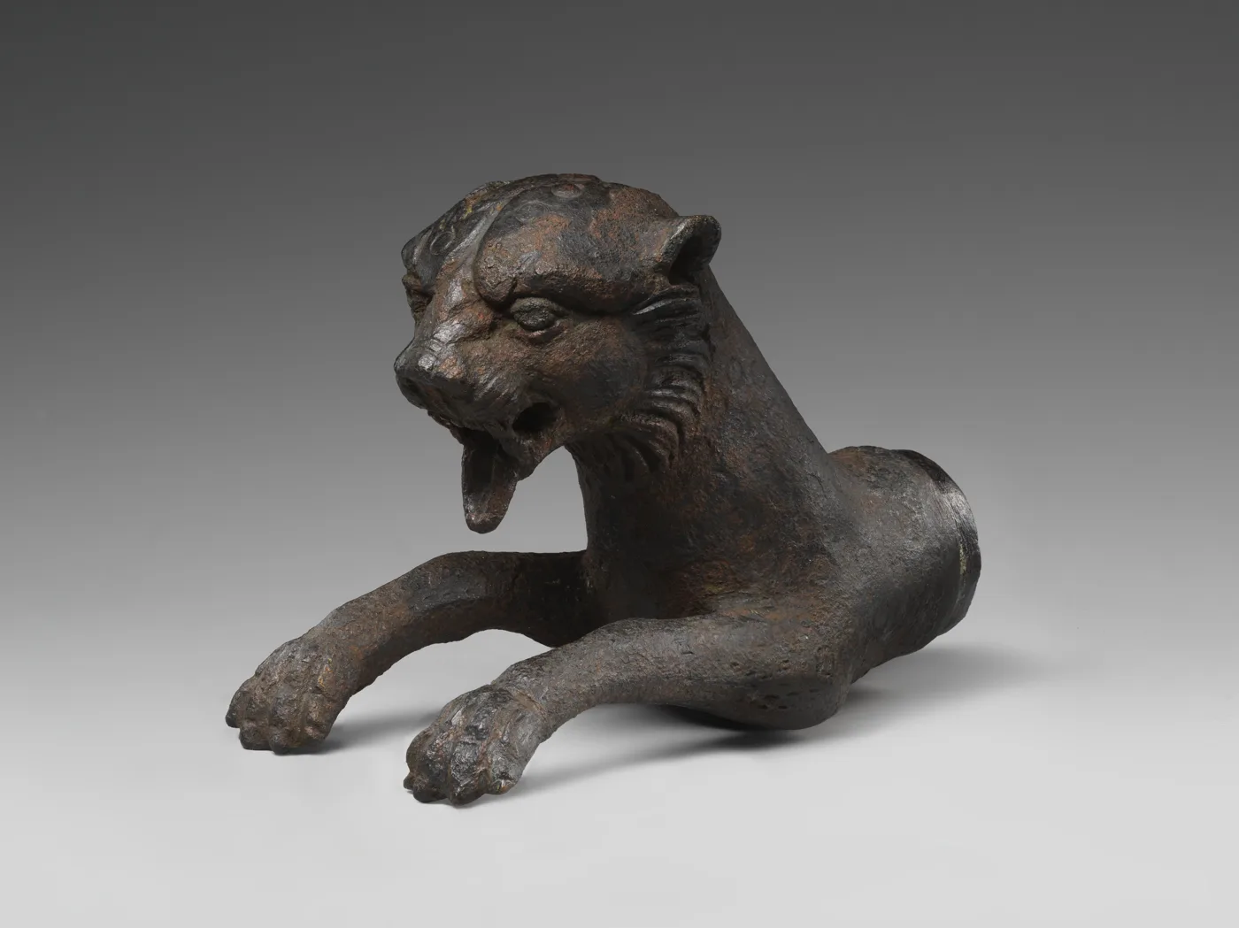 Forepart of a leopard — تصویر رکورد موزهٔ متروپولیتن (دسترسی آزاد)