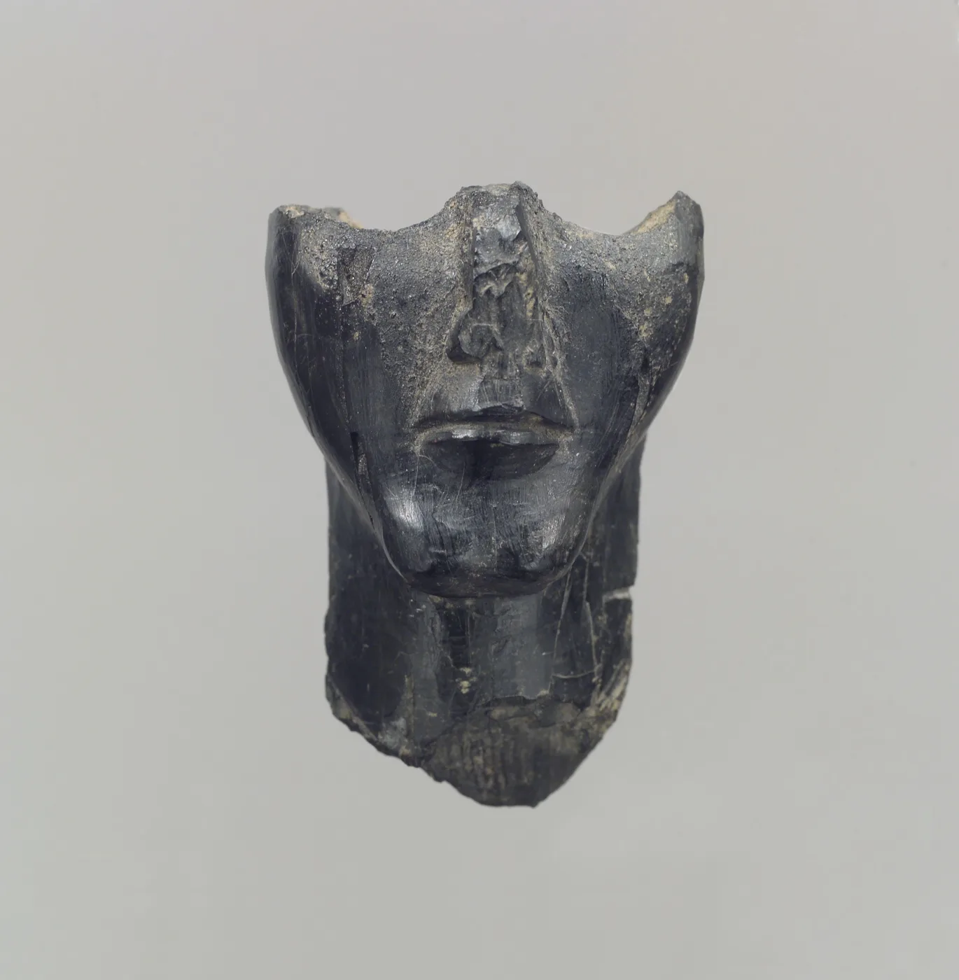 Lower half of a human head in the round — تصویر رکورد موزهٔ متروپولیتن (دسترسی آزاد)