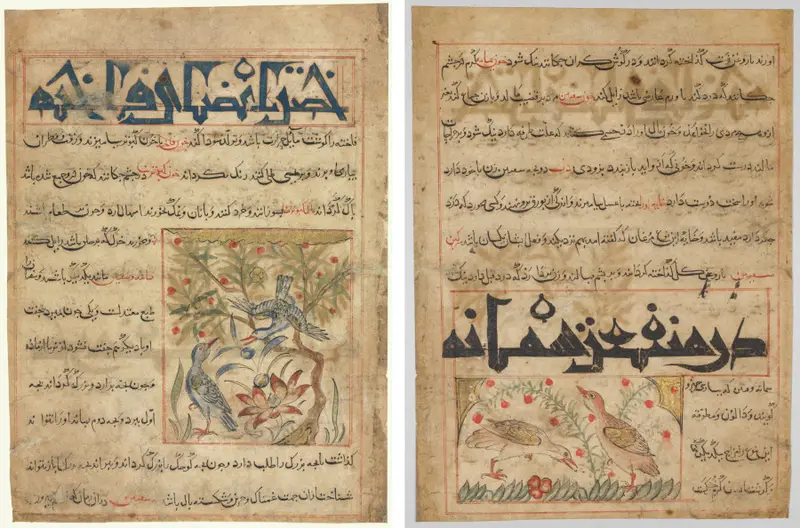 Qualities of Ringdoves (recto); On the Benefits of Quails (verso), from a Persian Manafi‘ al-Hayawan (The Benefits of Animals) of Abu Said Ubaid-Allah ibn Jibrail ibn Bakhtishu (died 1058–68) — تصویر رکورد موزهٔ هنر کلیولند (دسترسی آزاد)