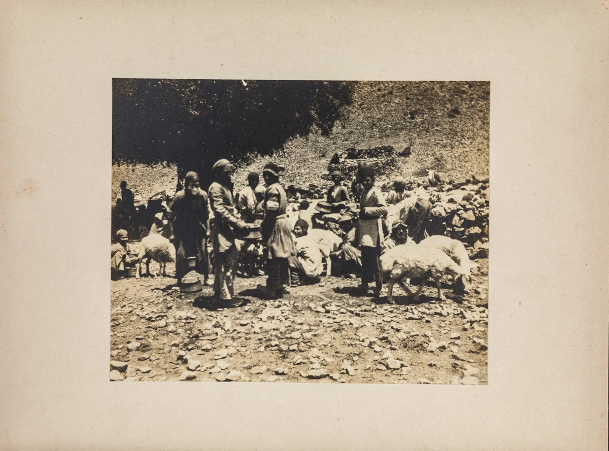 Schafherde (Vorderasienexpedition 1906-1907 – 4. Persien 1907) — تصویر رکورد یوروپیانا