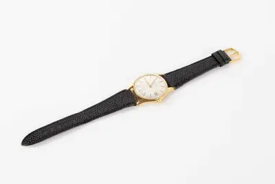 Armbanduhr, Glycine Altus Automatic, Biel, um 1965 — تصویر رکورد یوروپیانا