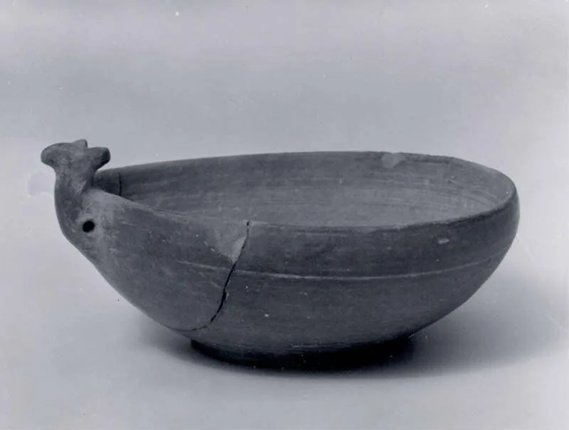 Dish — تصویر رکورد موزهٔ متروپولیتن (دسترسی آزاد)
