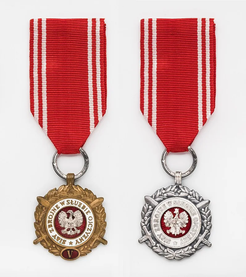 Medal of the Armed Forces in the Service of the Fatherland — تصویر رکورد ویکی‌داده