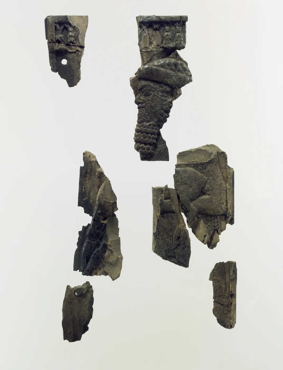 Plaque fragments with a bearded male dignitary carrying a young goat — تصویر رکورد موزهٔ متروپولیتن (دسترسی آزاد)
