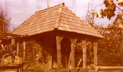 Găbănaș, sat Cărpiniș, com. Copalnic-Mânăștur, jud. Maramureș (1967) — تصویر رکورد یوروپیانا
