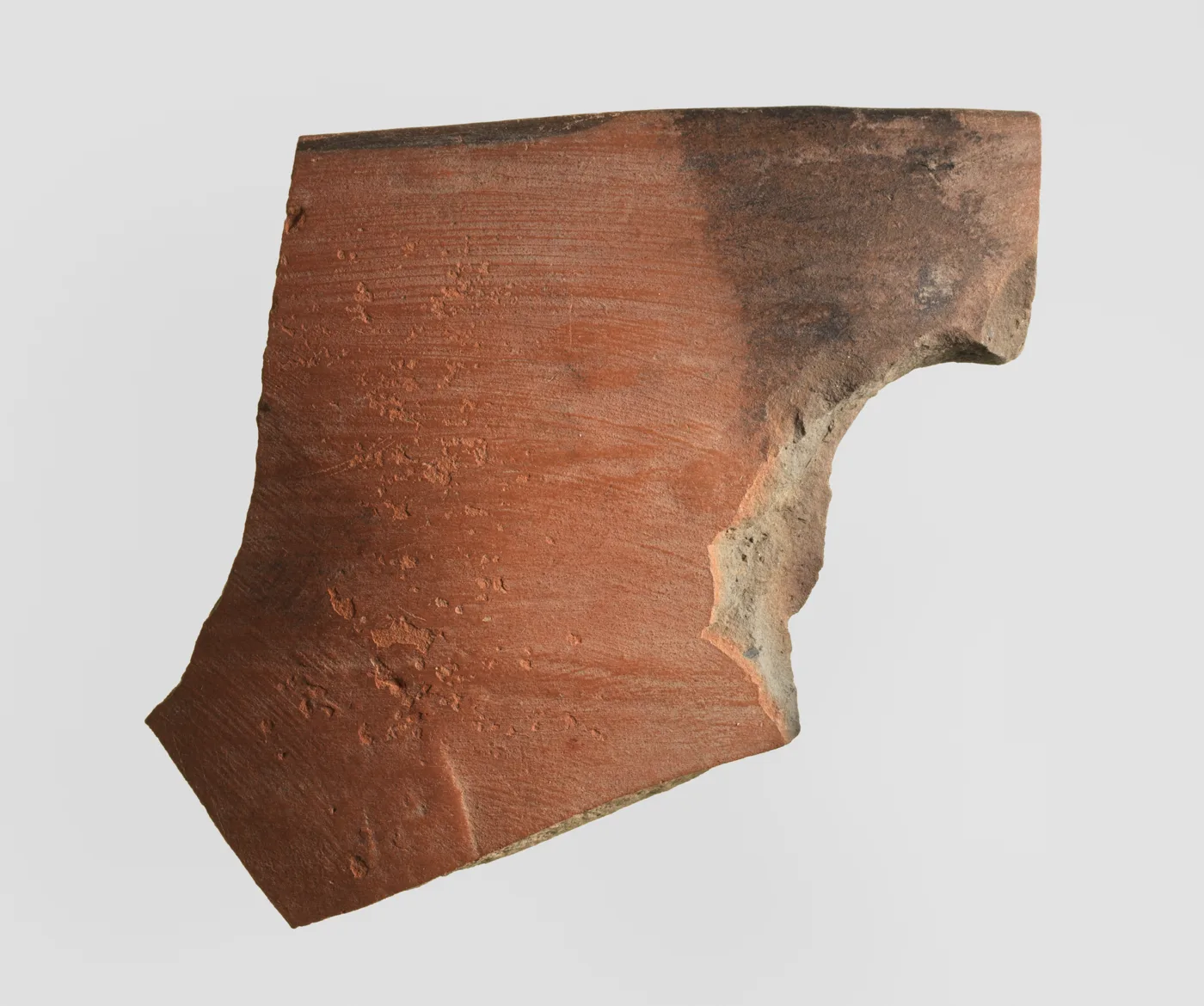 Sherd — تصویر رکورد موزهٔ متروپولیتن (دسترسی آزاد)