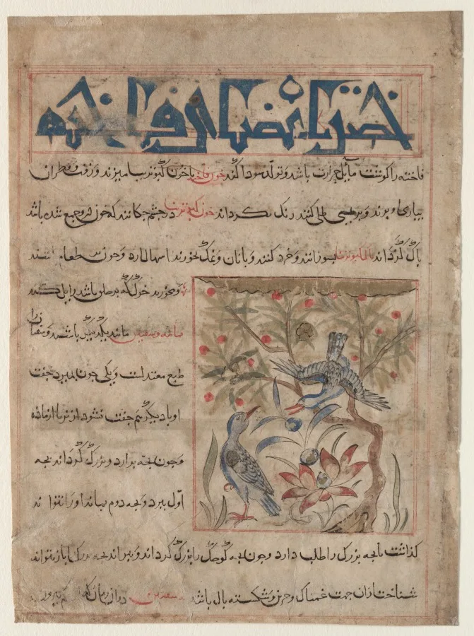 خواص فاخته (رو)؛ اندر منافع بلدرچین (پشت)، از نسخه فارسی منافعالحیوان اثر ابوسعید عبیدالله بن جبرائیل بن بختیشوع (درگذشته ۱۰۵۸–۶۸) — نمای تکمیلی ثبتشده در رکورد موزه