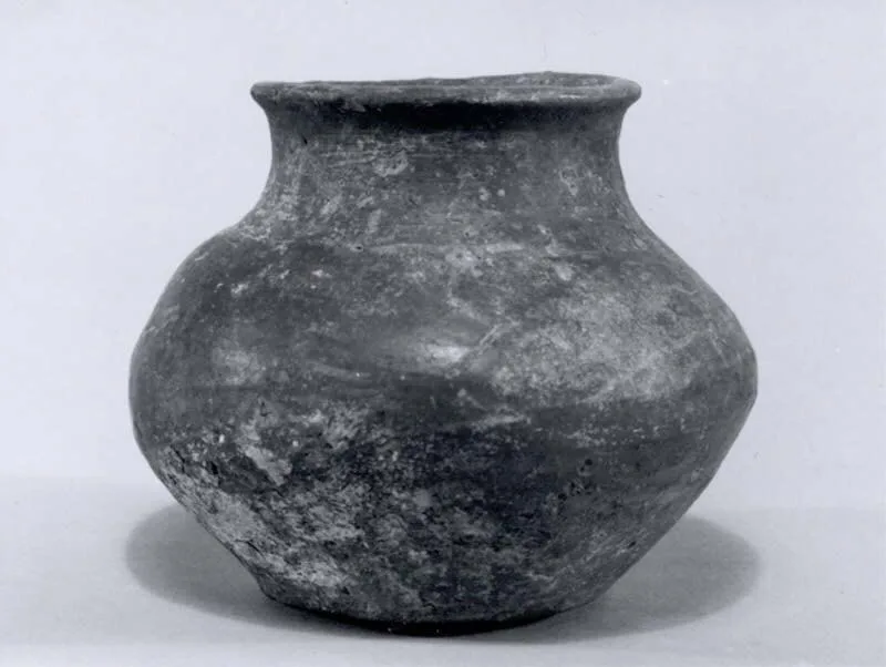 Jar — تصویر رکورد موزهٔ متروپولیتن (دسترسی آزاد)