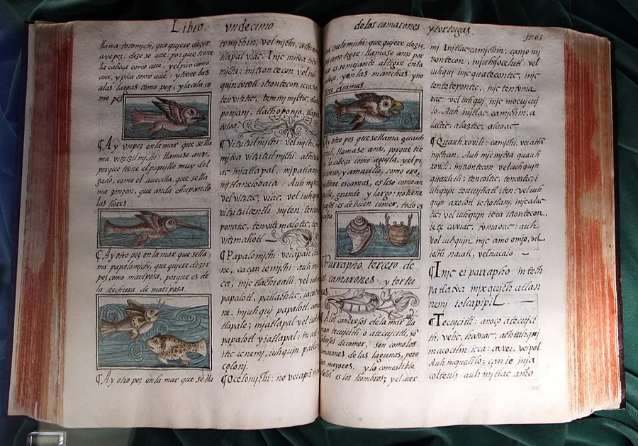 Florentine Codex — تصویر رکورد ویکیداده