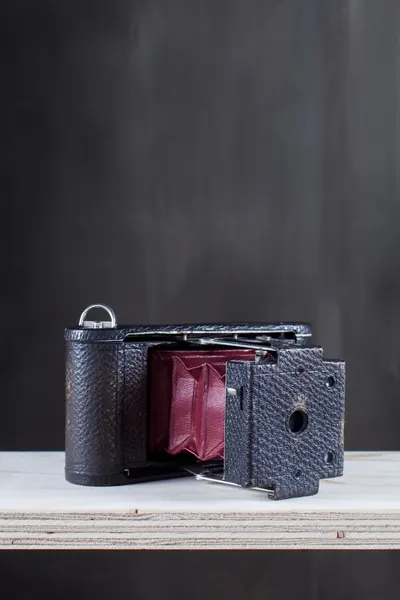 Kodak Folding Pocket Camera.
Ur boken "Att se världen. Svensk fotografi under 175 år". Tekniska museets sista årsbok i serien Daedalus, 2016/2017. Årgång 84. — تصویر رکورد یوروپیانا
