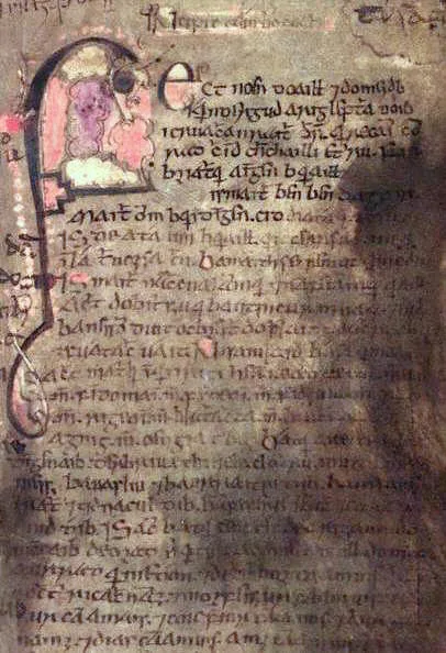 Book of Leinster — تصویر رکورد ویکی‌داده